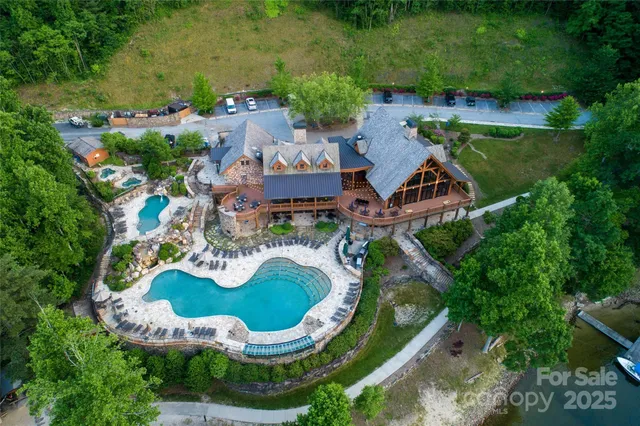 a view of a yard with plants and trees