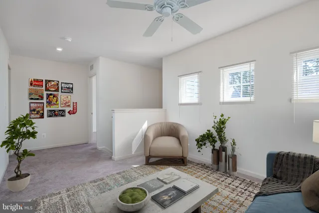 a living room with furniture and a potted plant