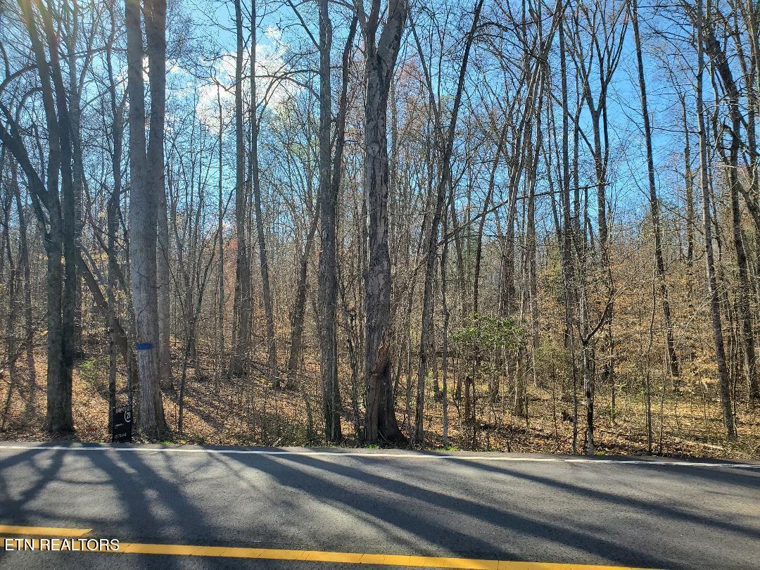 Lot 17 Highway 304 Decatur, TN 37322 - Photo 1 of 8 Lot 18