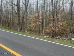 Lot 17 Highway 304 Decatur, TN 37322 - Photo 5 of 8 Johnson-5 - Copy - Copy