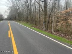 Lot 17 Highway 304 Decatur, TN 37322 - Photo 6 of 8 Johnson-4