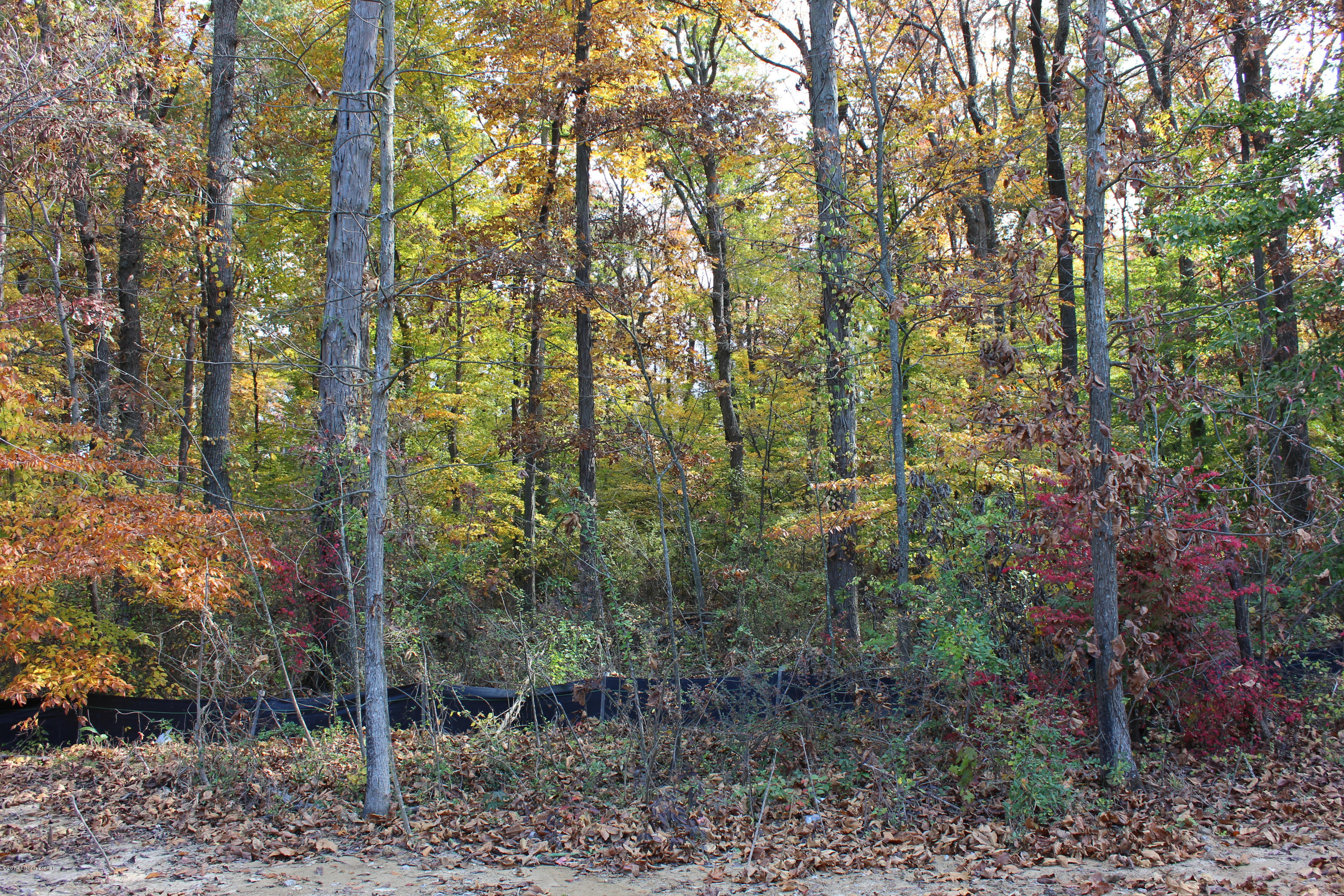 6513 Renate Road Louisville, KY 40291 - Photo 3 of 3 2014-10-27 00