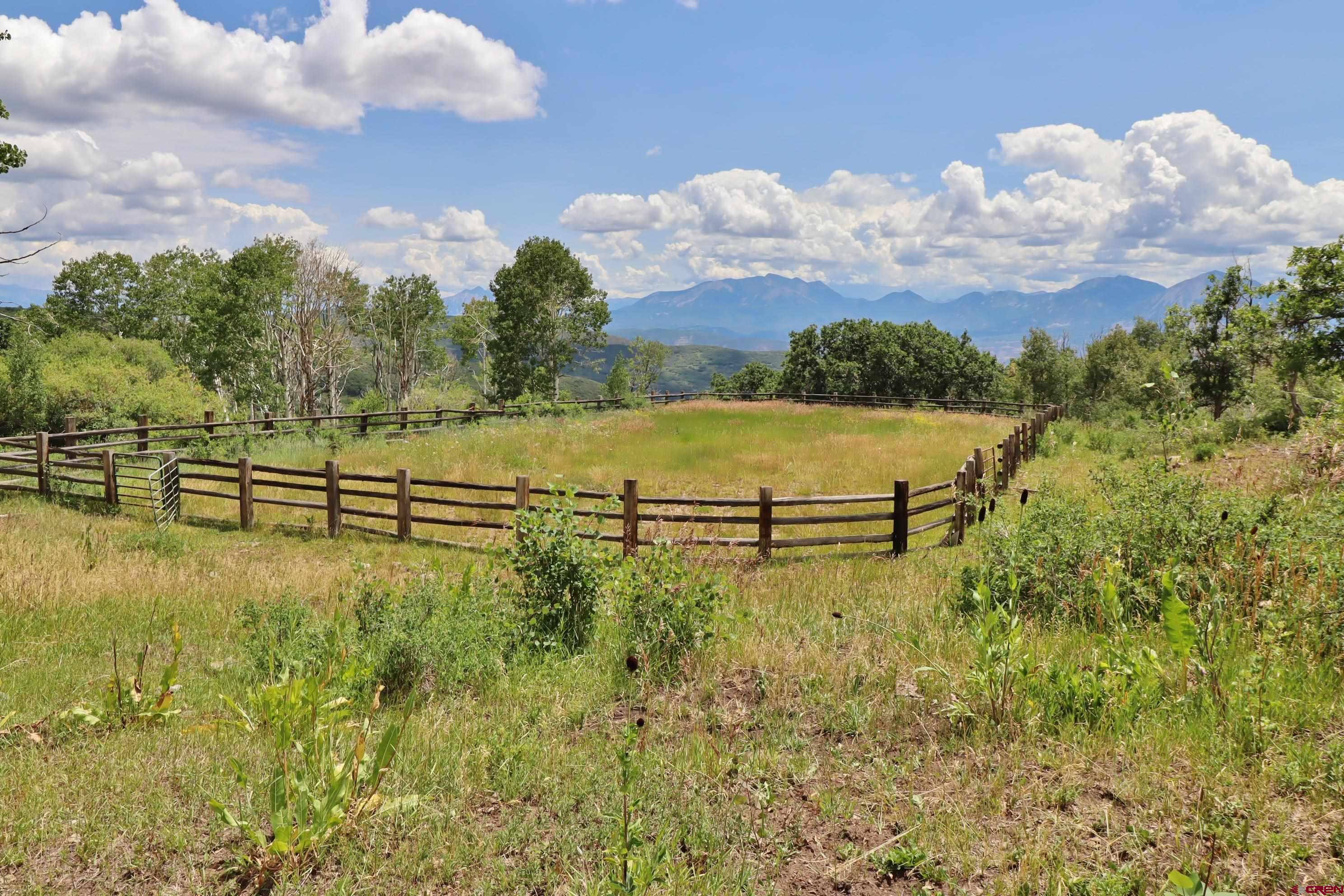 37830 Roatcap Road Hotchkiss, CO 81419 - Photo 20 of 43