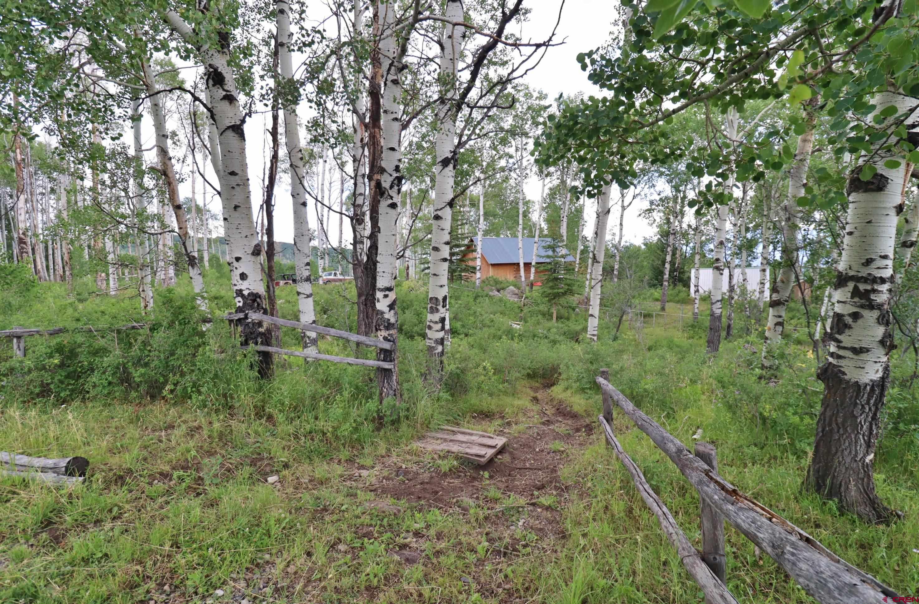37830 Roatcap Road Hotchkiss, CO 81419 - Photo 37 of 43