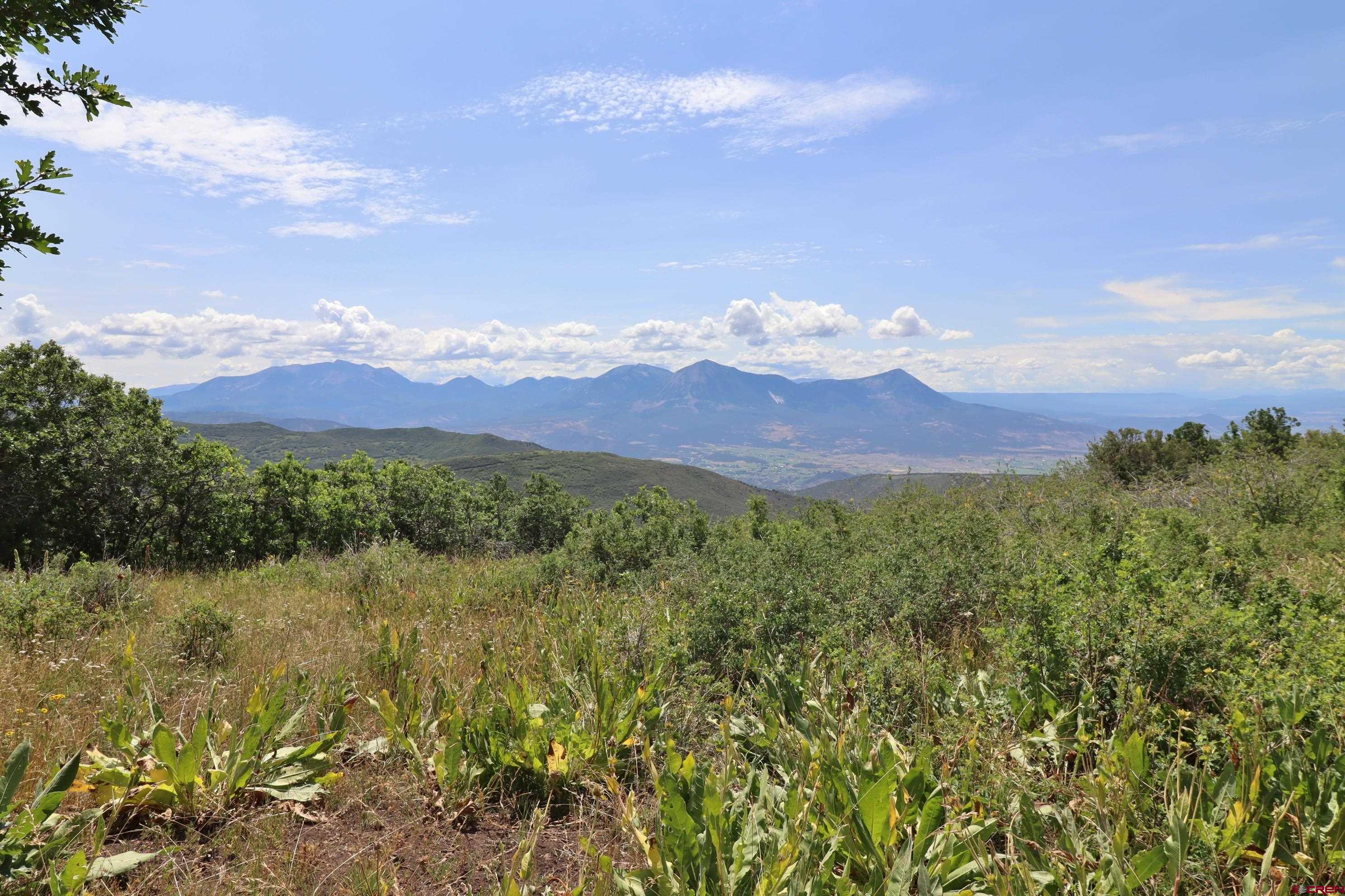 37830 Roatcap Road Hotchkiss, CO 81419 - Photo 43 of 43