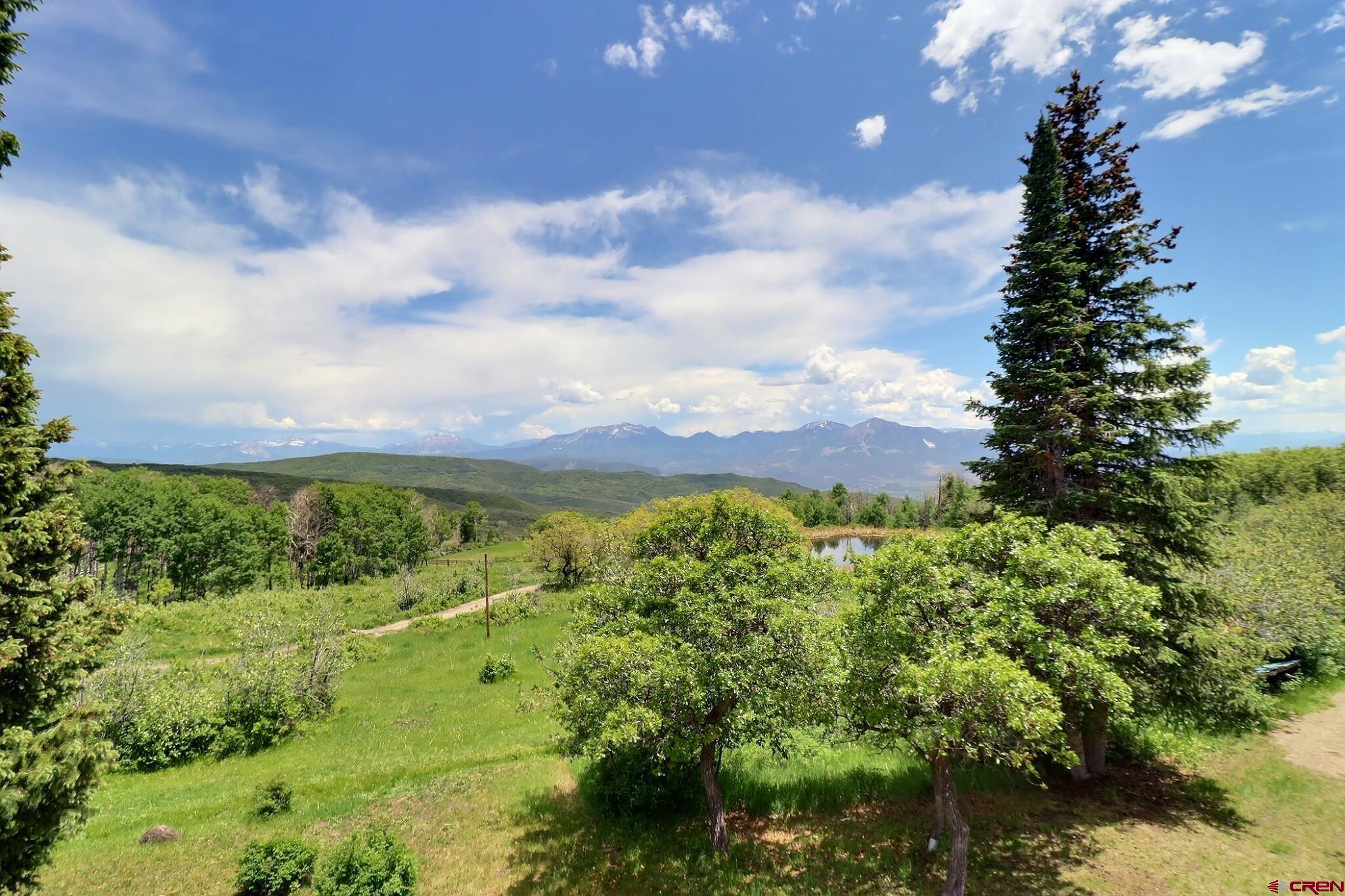 37830 Roatcap Road Hotchkiss, CO 81419 - Photo 6 of 43