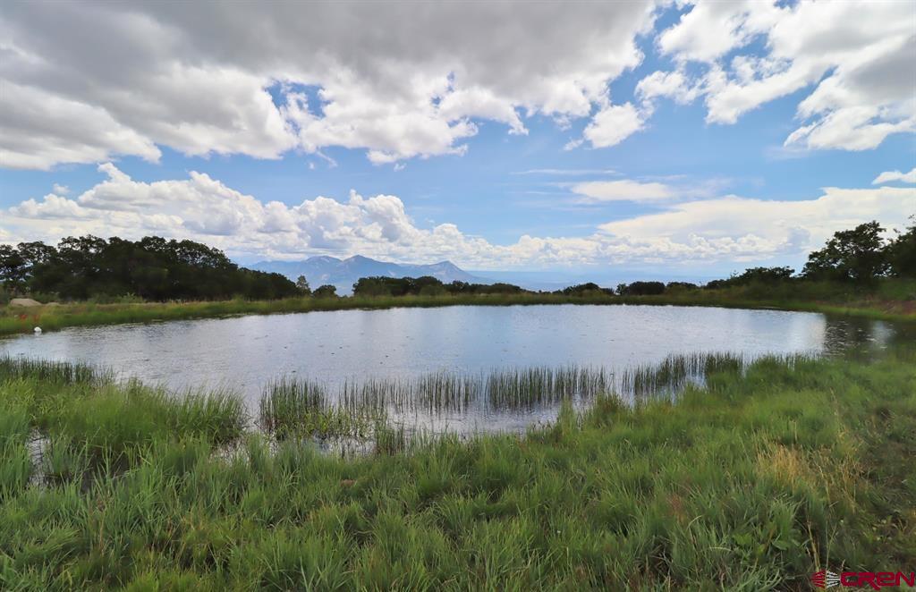 37830 Roatcap Road Hotchkiss, CO 81419 - Photo 7 of 43