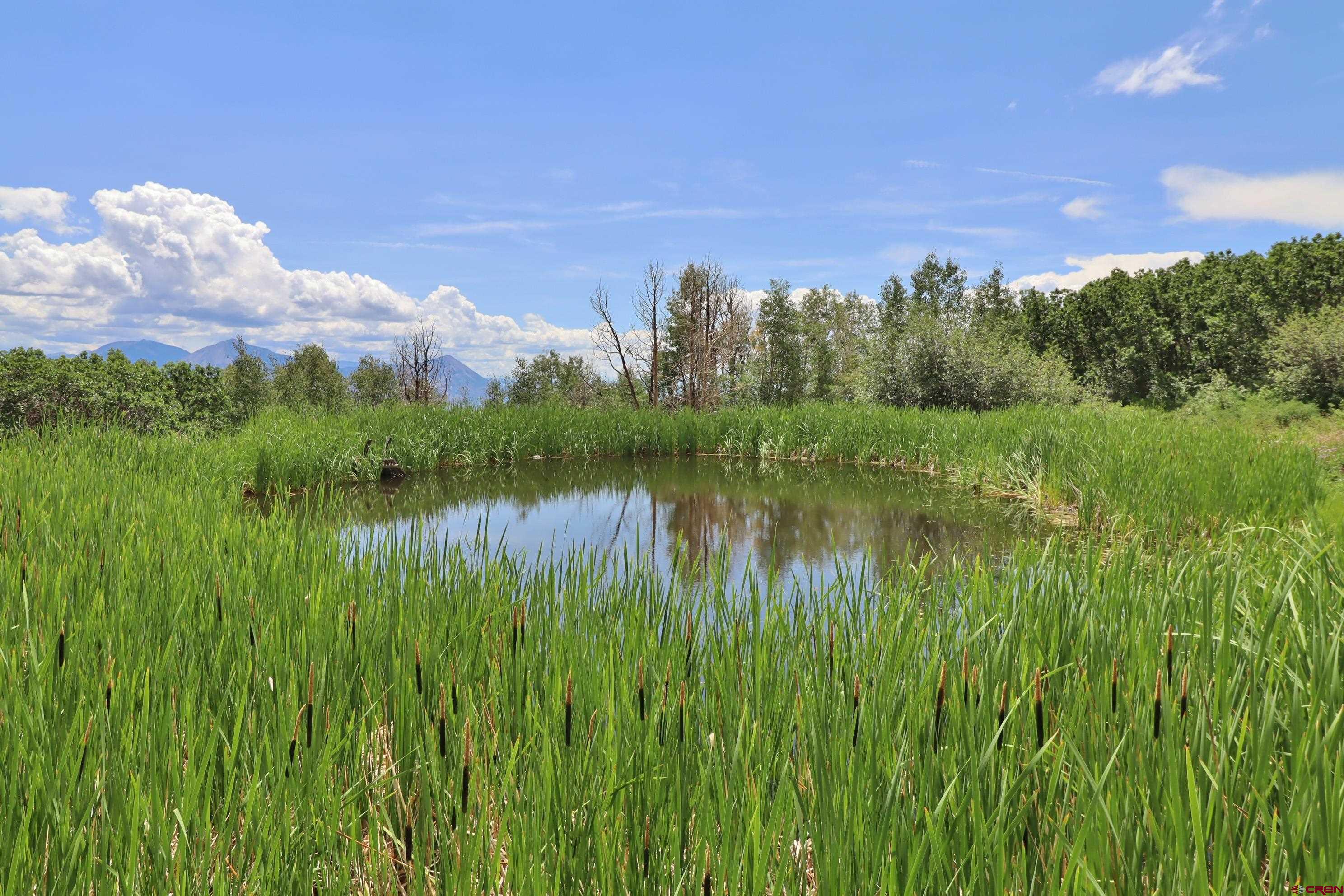 37830 Roatcap Road Hotchkiss, CO 81419 - Photo 8 of 43