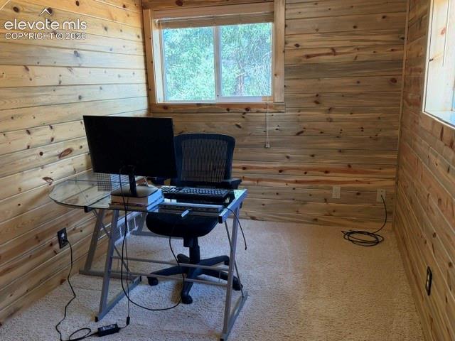 269 Southpark Road Florissant, CO 80816 - Photo 13 of 37