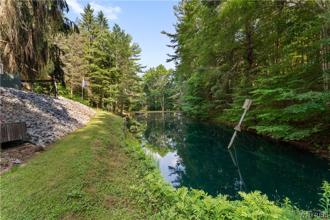 9173 Lyman Road Clarksville, NY 14727 - Photo 33 of 48 Pond