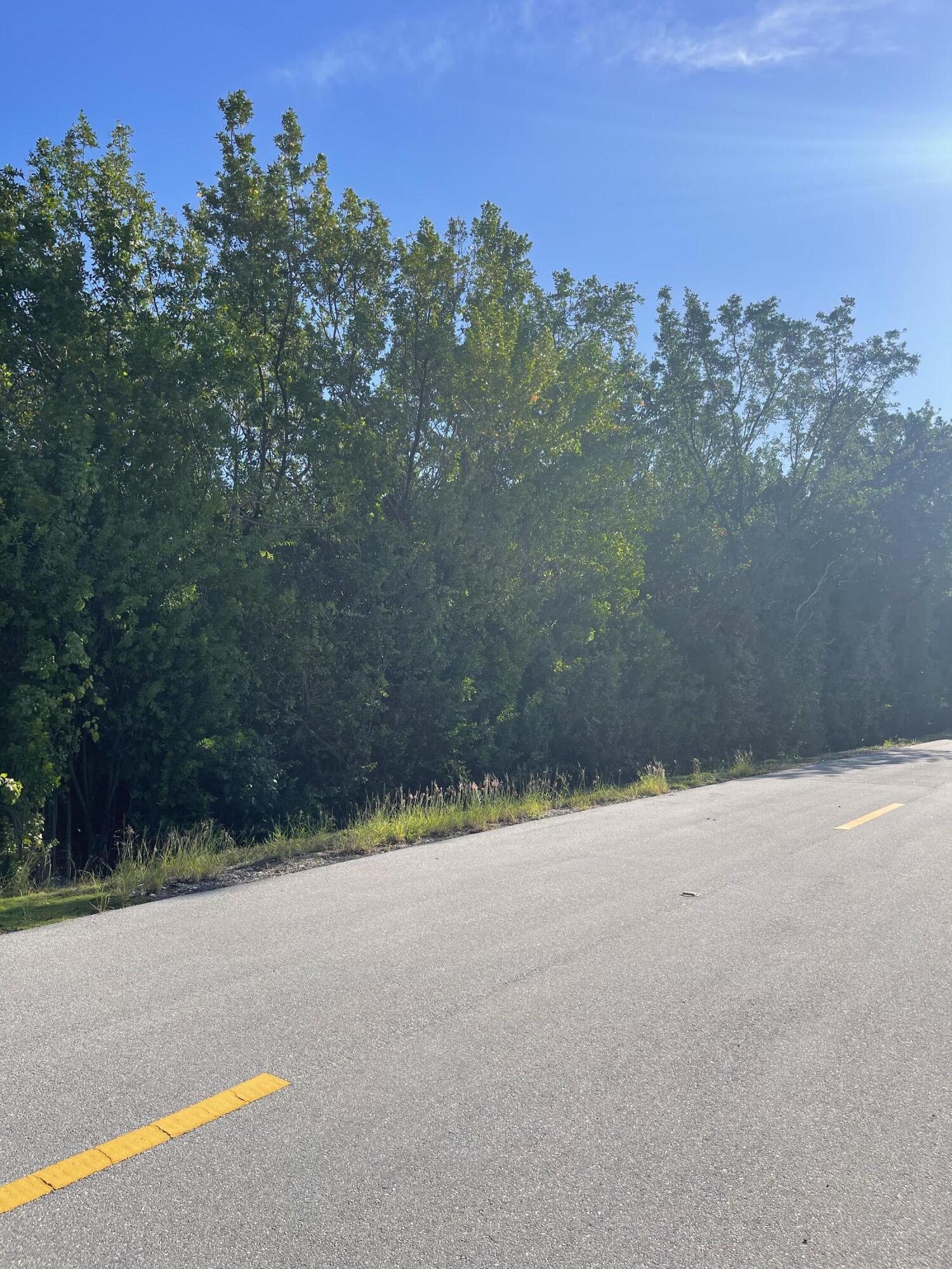 Bayview Ave Key Key Largo, FL 33037 - Photo 4 of 4 a view of a backyard of a house