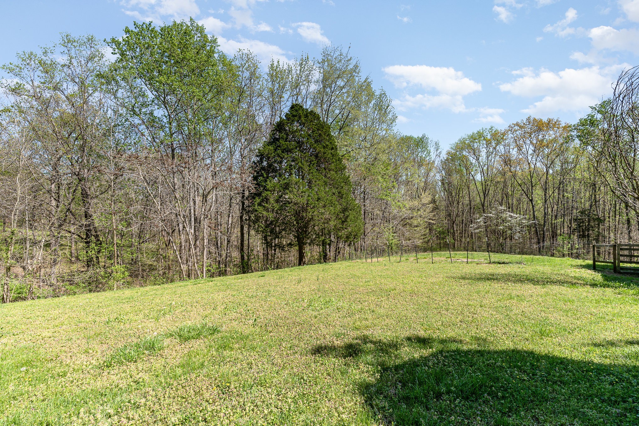 1029 Cumberland Heights Road Clarksville, TN 37040 - Photo 29 of 34 a view of outdoor space with trees all around