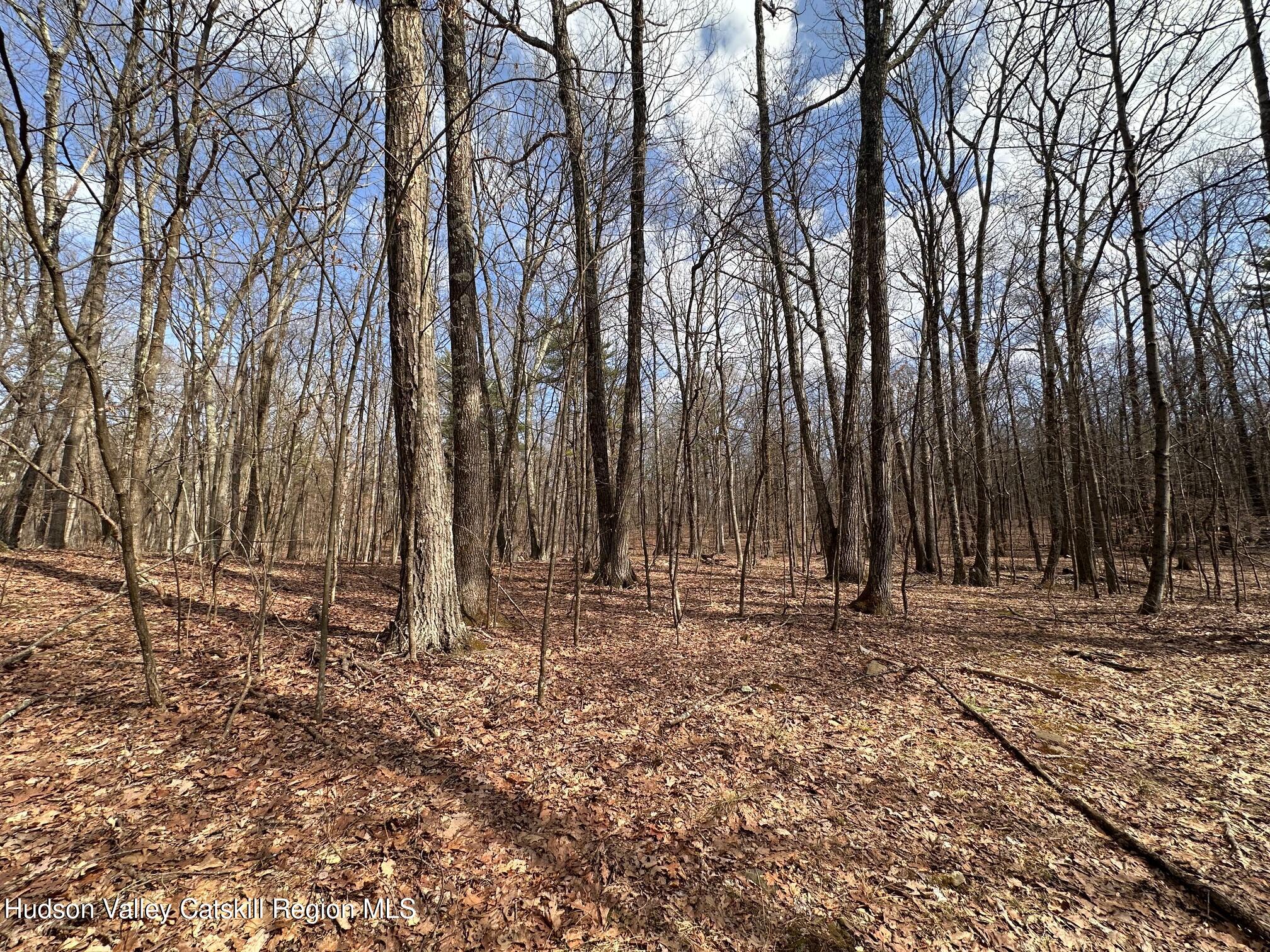 230 Potic Mountain Road Athens, NY 12414 - Photo 20 of 25 a backyard of a house with lots of green space