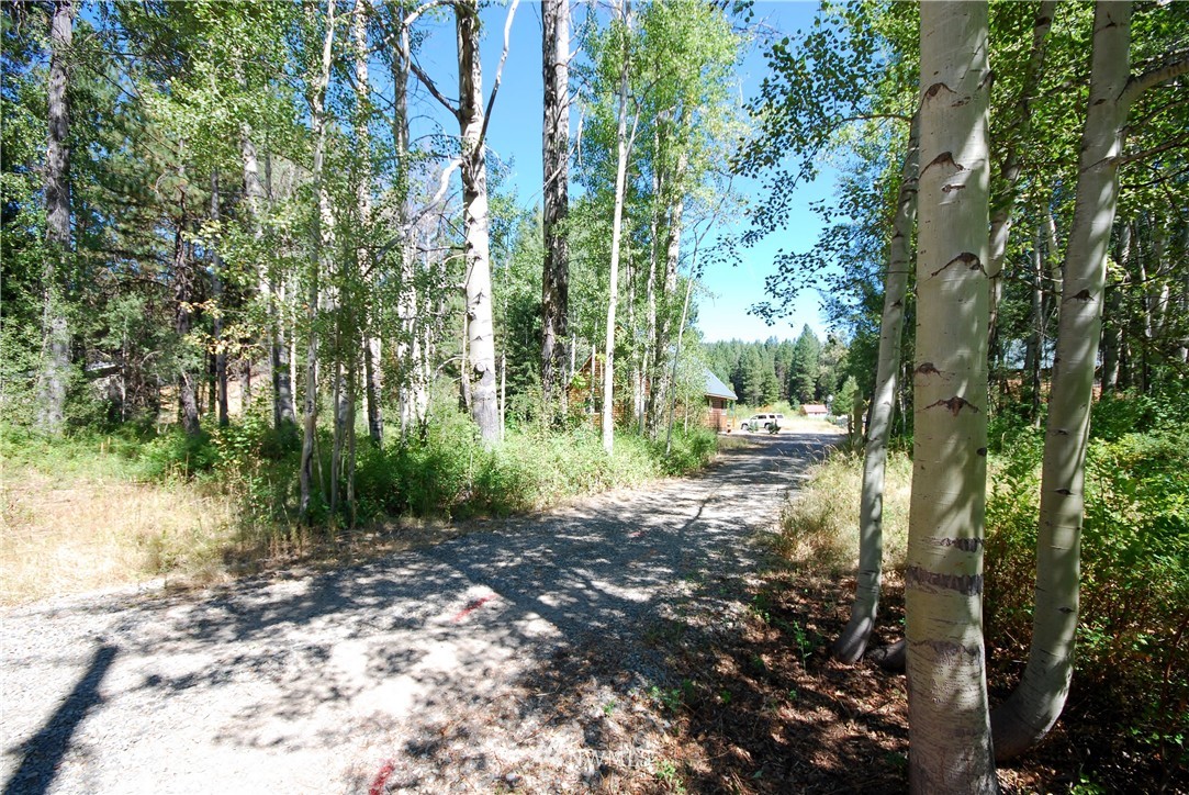 730 Wagon Wheel Road Cle Elum, WA 98922 - Photo 6 of 20 Gallery Image 6