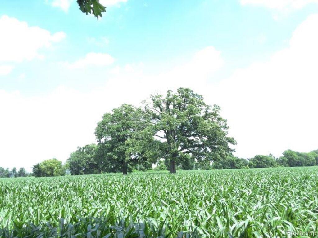 Auction Lot# 4 Auction Road Allenton, MI 48002 - Photo 2 of 4