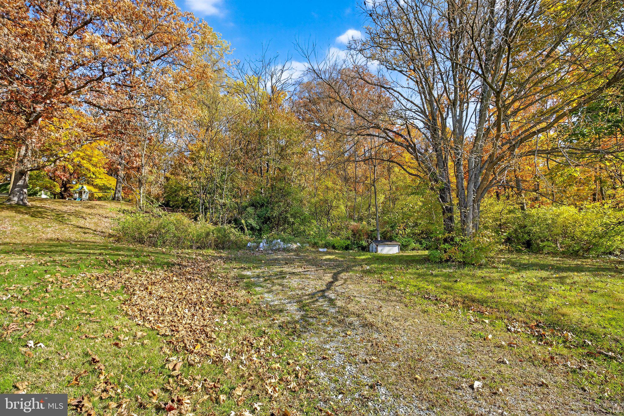 303 West Swartzville Road Reinholds, PA 17569 - Photo 13 of 17 a view of a yard with a tree
