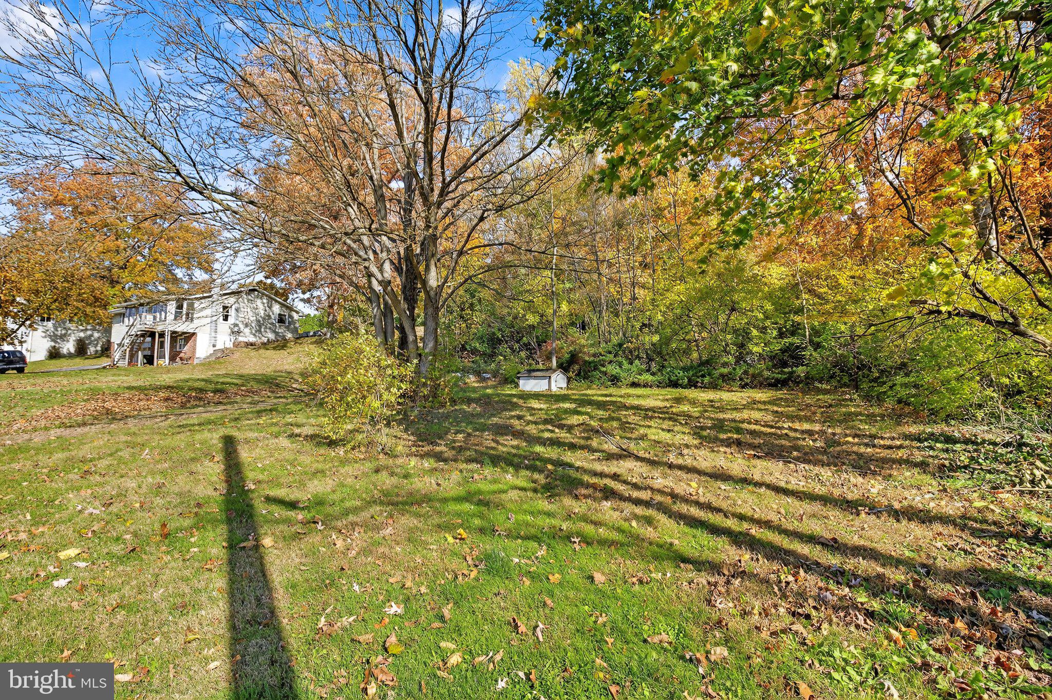 303 West Swartzville Road Reinholds, PA 17569 - Photo 14 of 17 a view of yard with green space
