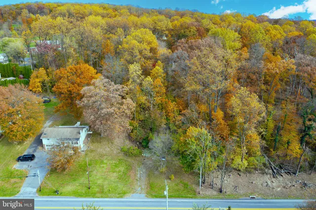 a view of a swimming pool with a yard and large trees