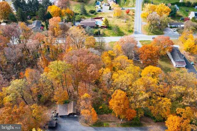 a view of a yard with a tree