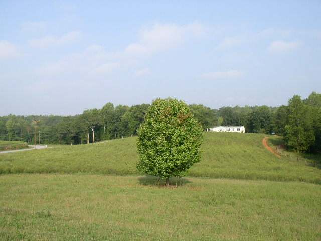 1807 Burns Bridge Road Anderson, SC 29625 - Photo 4 of 9 Gallery Image 4