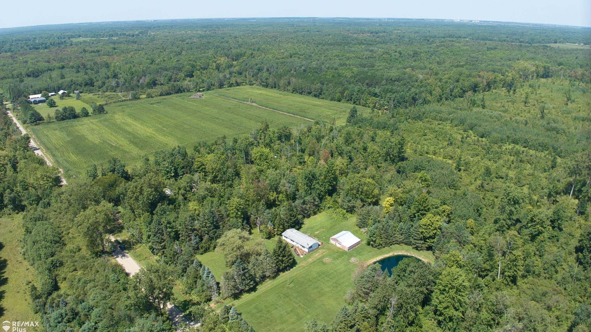 3799 Mushroom Road Caro, MI 48723 - Photo 44 of 55