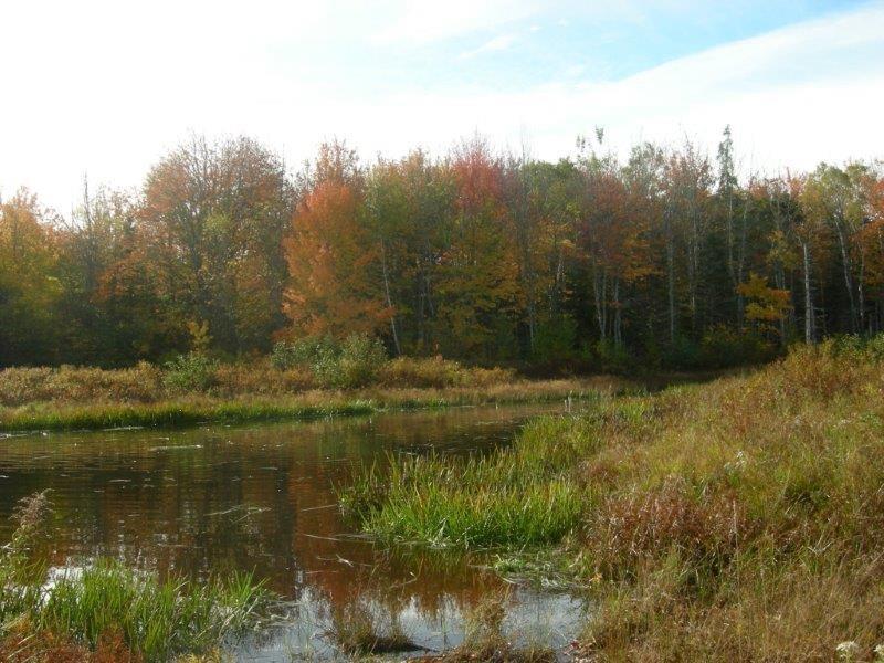 45 Bunker Road Sorrento, ME 04677 - Photo 23 of 28 Beautiful pond of the 6-acre piece...