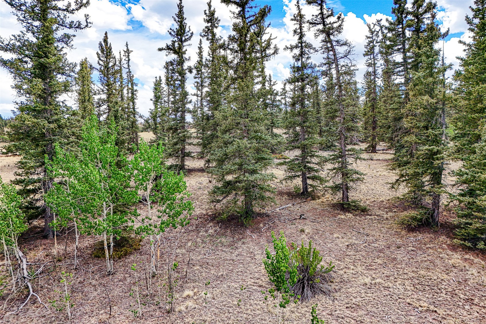 1111 Latigo Loop Hartsel, CO 80449 - Photo 10 of 20