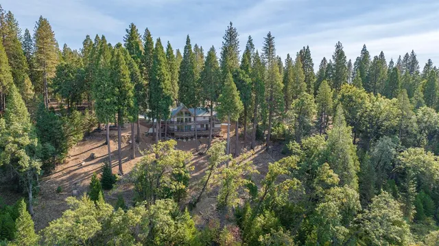 a view of living room with granite countertop kitchen island stainless steel appliances a sink and a window