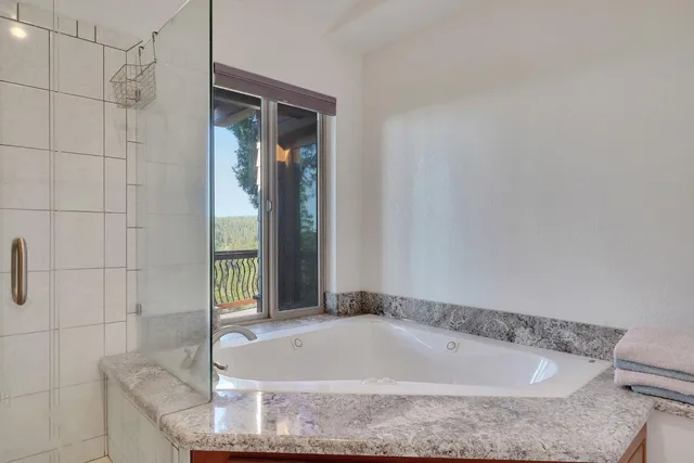 $835,000 | 19015 Pine Drive East, Pioneer, CA 95666