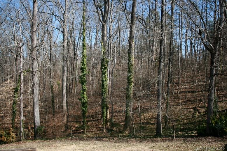123 Russell Drive Rutherfordton, NC 28139 - Photo 16 of 20