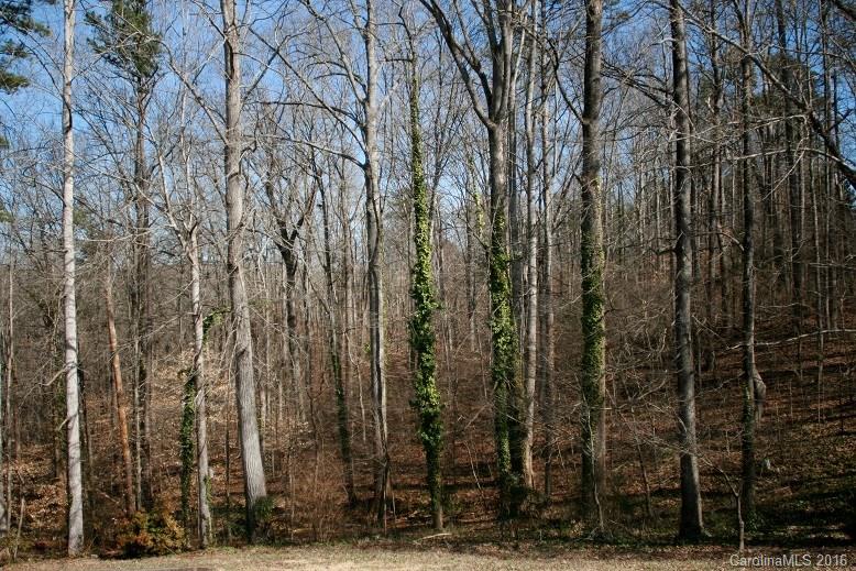 123 Russell Drive Rutherfordton, NC 28139 - Photo 19 of 20