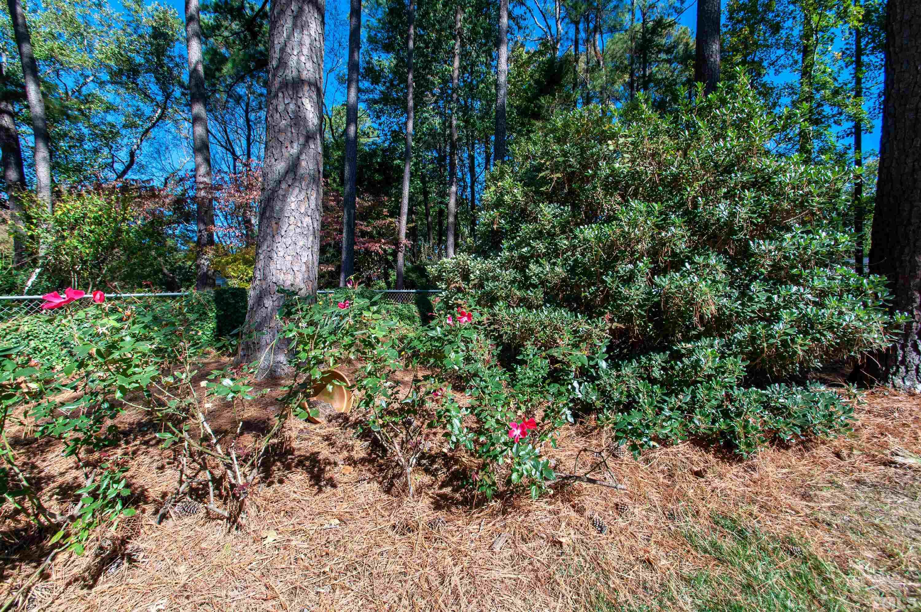 5813 Caledonia Street Raleigh, NC 27609 - Photo 36 of 50 Gallery Image 36