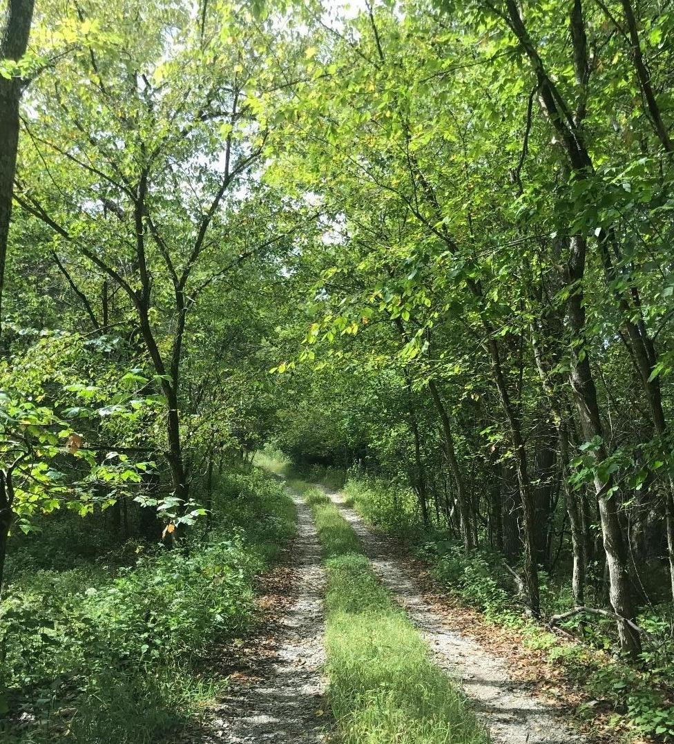1777 Locust Fork Road Stamping Ground, KY 40379 - Photo 25 of 42 Photo 26