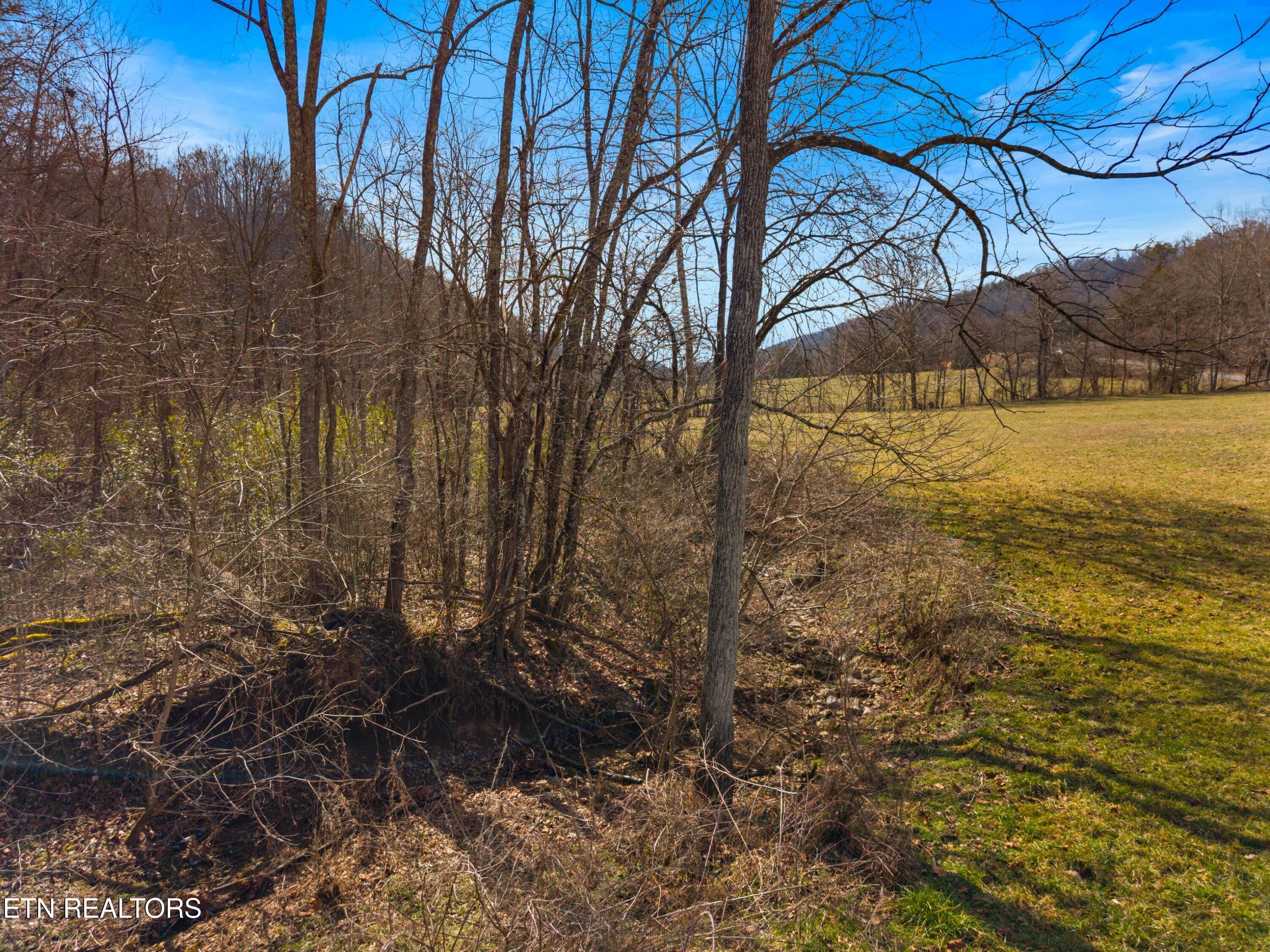 2484 Upper Caney Valley Road Tazewell, TN 37879 - Photo 44 of 46 045-2484UpperCaneyValley-Tazewell-TN-378