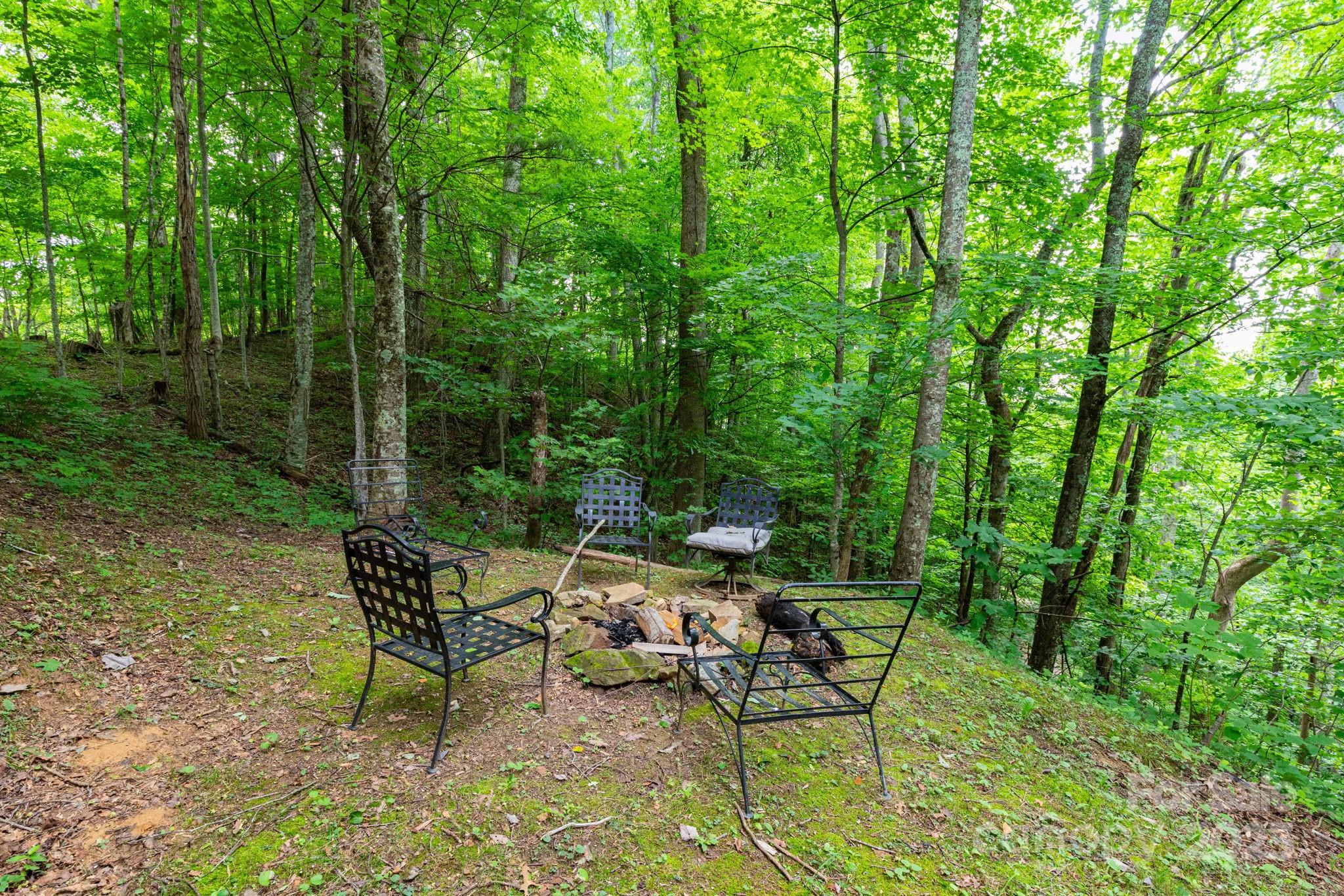 192 Granny Shepherd Road Mars Hill, NC 28754 - Photo 20 of 26 a view of a bench in a garden