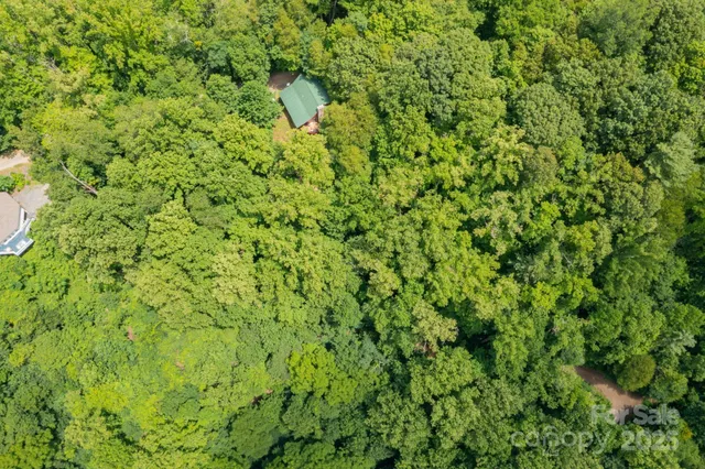 a view of a lush green forest with lush green forest