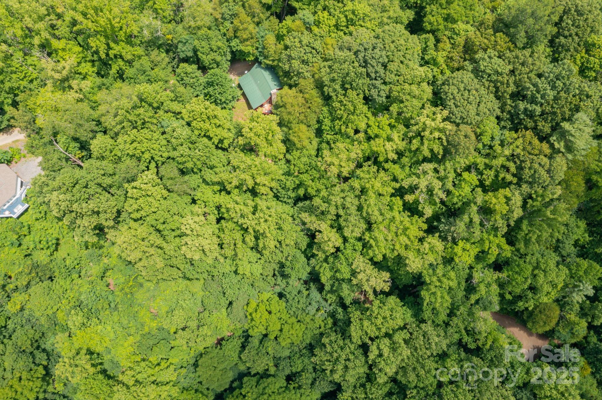 192 Granny Shepherd Road Mars Hill, NC 28754 - Photo 22 of 26 a view of a lush green forest