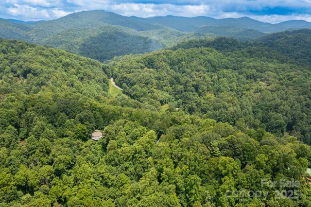 a view of a lush green forest with mountains in the background