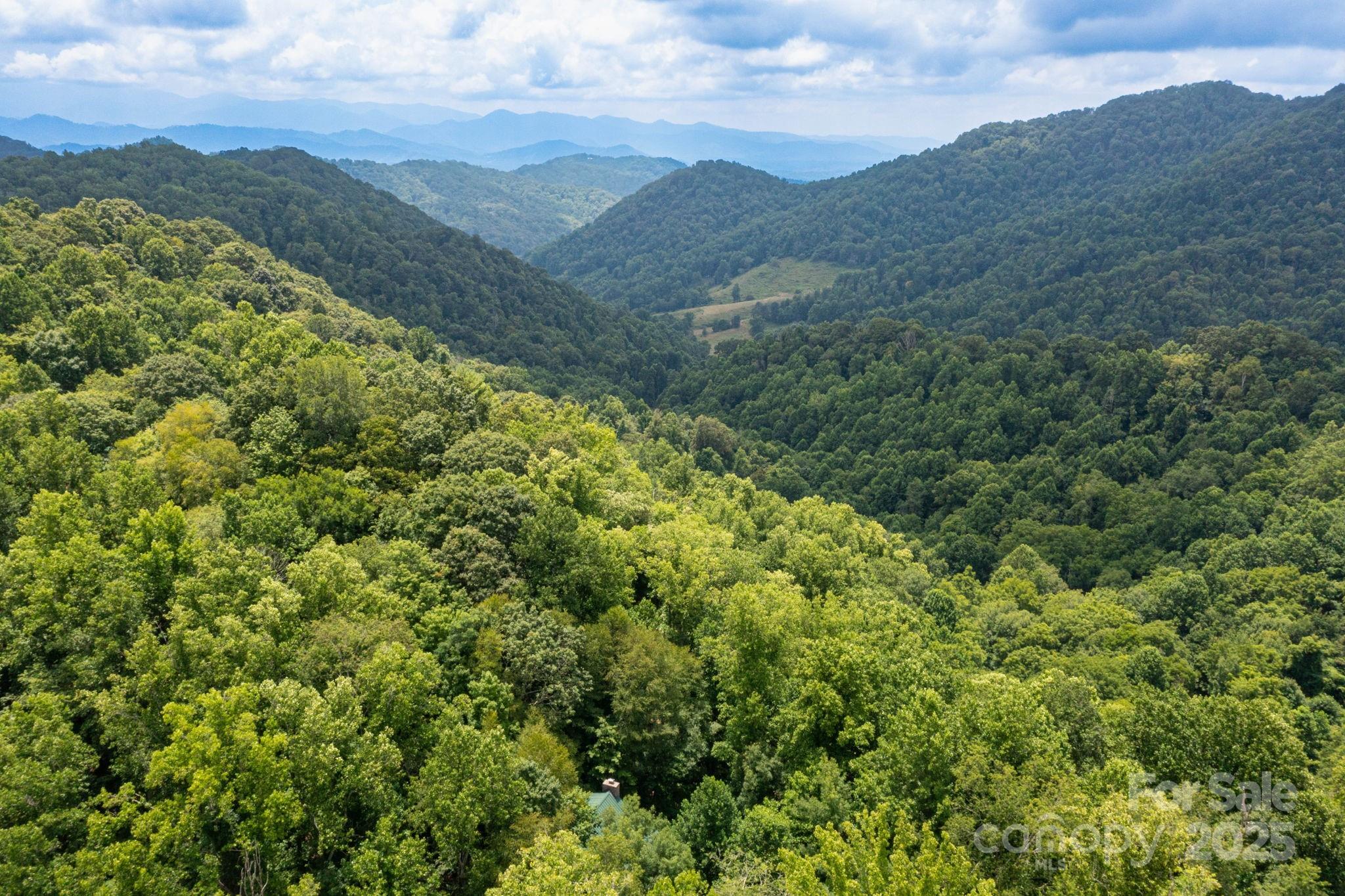 192 Granny Shepherd Road Mars Hill, NC 28754 - Photo 24 of 26 a view of a lush green forest with mountains in the background