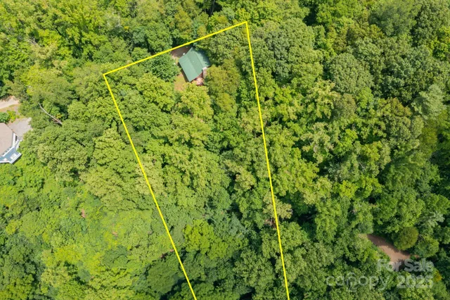 a view of a lush green forest with a mountain