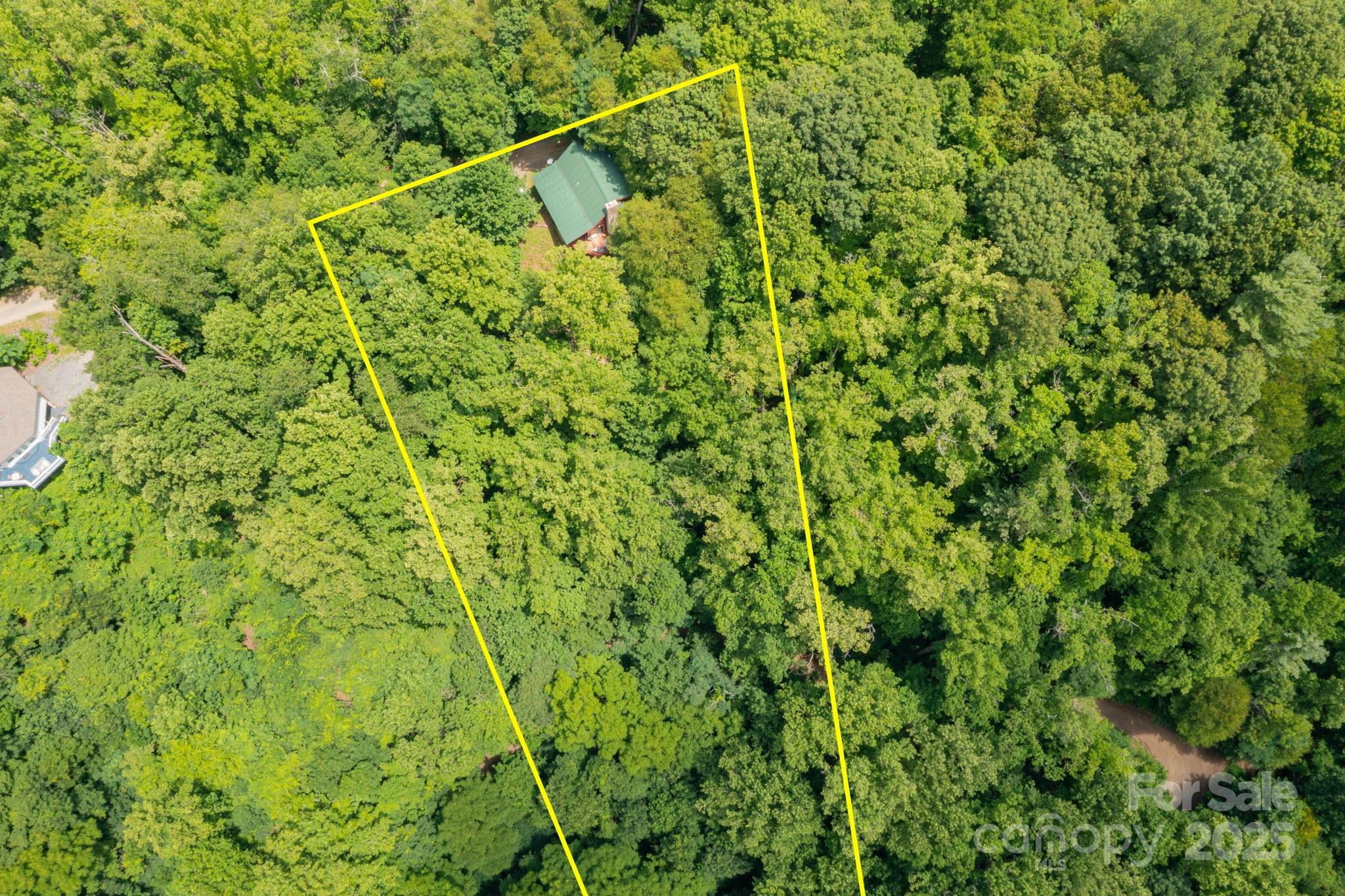 192 Granny Shepherd Road Mars Hill, NC 28754 - Photo 25 of 26 a view of a yard