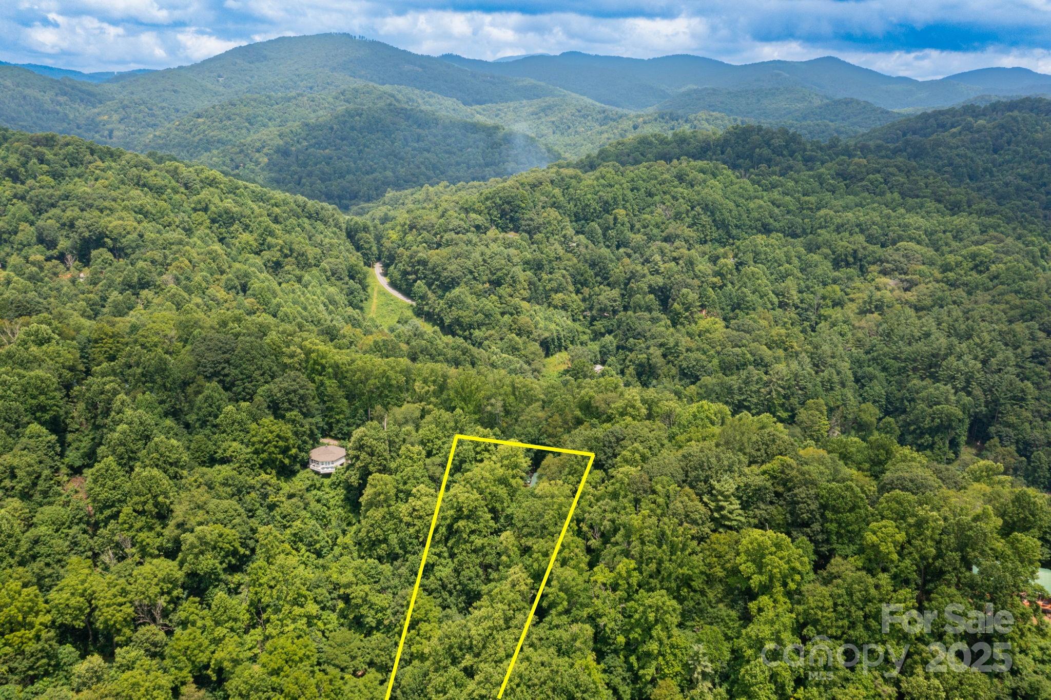 192 Granny Shepherd Road Mars Hill, NC 28754 - Photo 26 of 26 a view of a lush green forest with a mountain