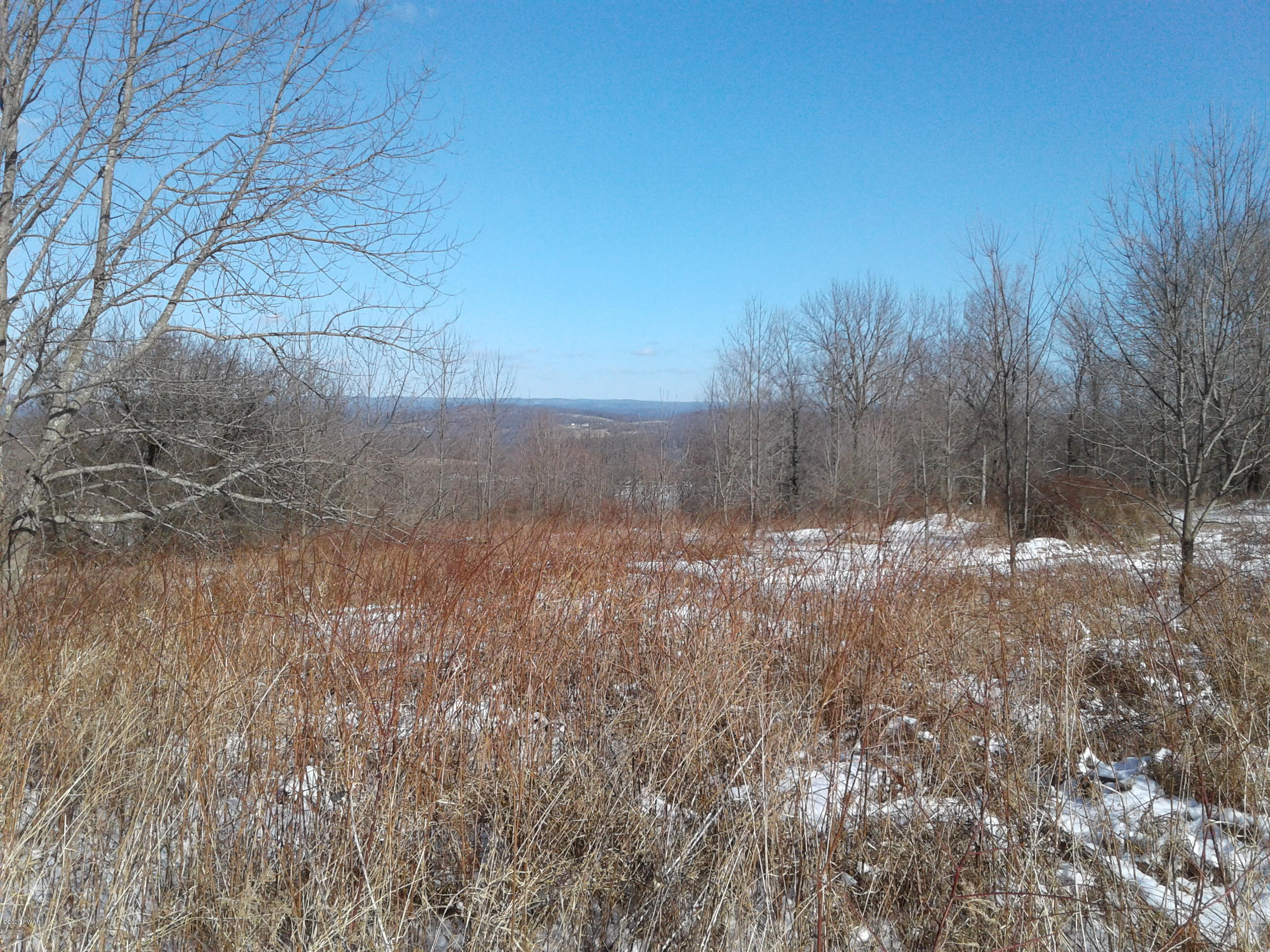 Hickory Hill Road Starrucca, PA 18462 - Photo 5 of 15