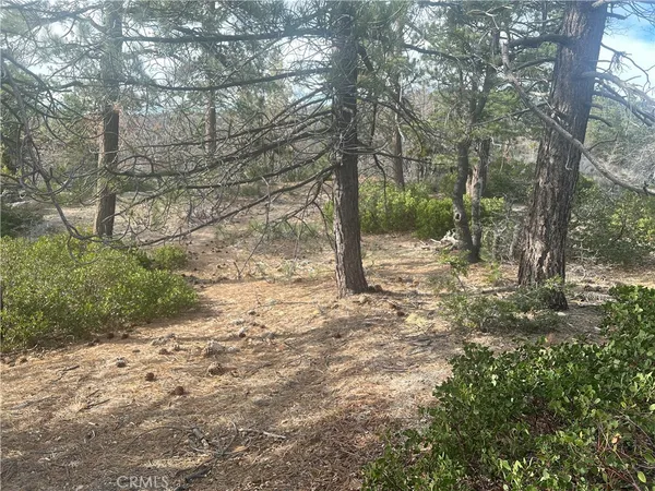 $24,000 | 0 Hardy, Running Springs, CA 92382