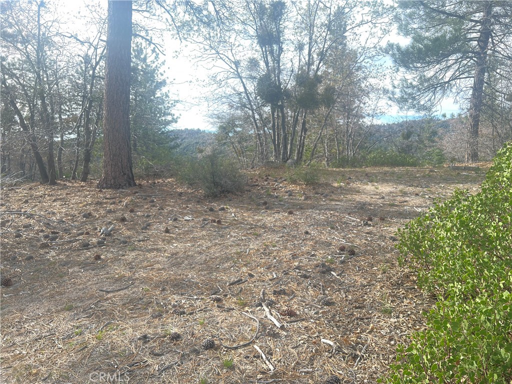 0 Hardy Running Springs, CA 92382 - Photo 2 of 5 a view of a yard with trees