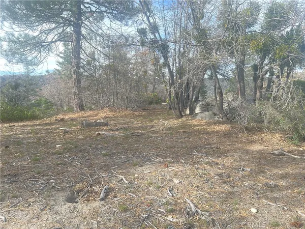 a view of dirt field with trees in the background