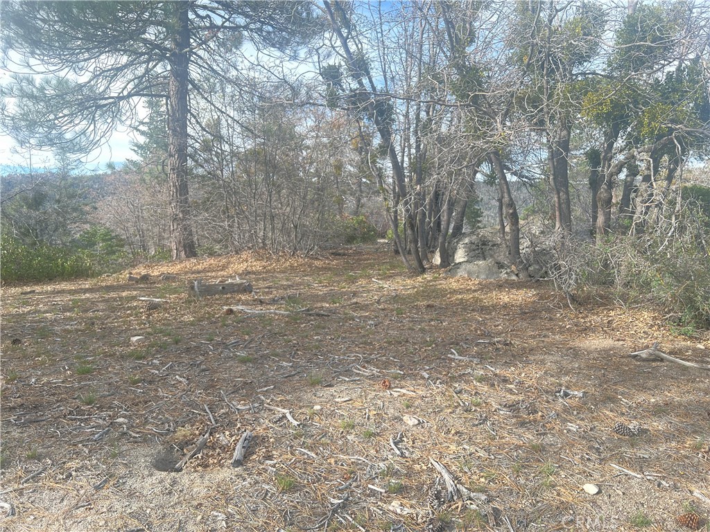 0 Hardy Running Springs, CA 92382 - Photo 4 of 5 a view of dirt field with trees in the background