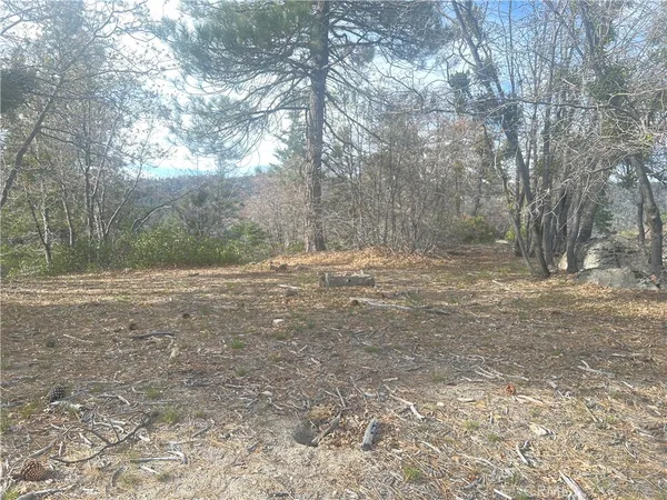 a view of dirt field with trees in the background