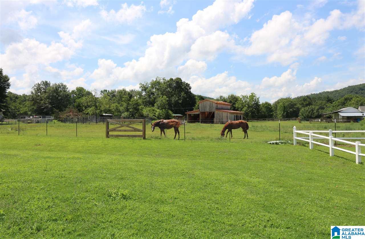 216 Easy Street Anniston, AL 36207 - Photo 34 of 35