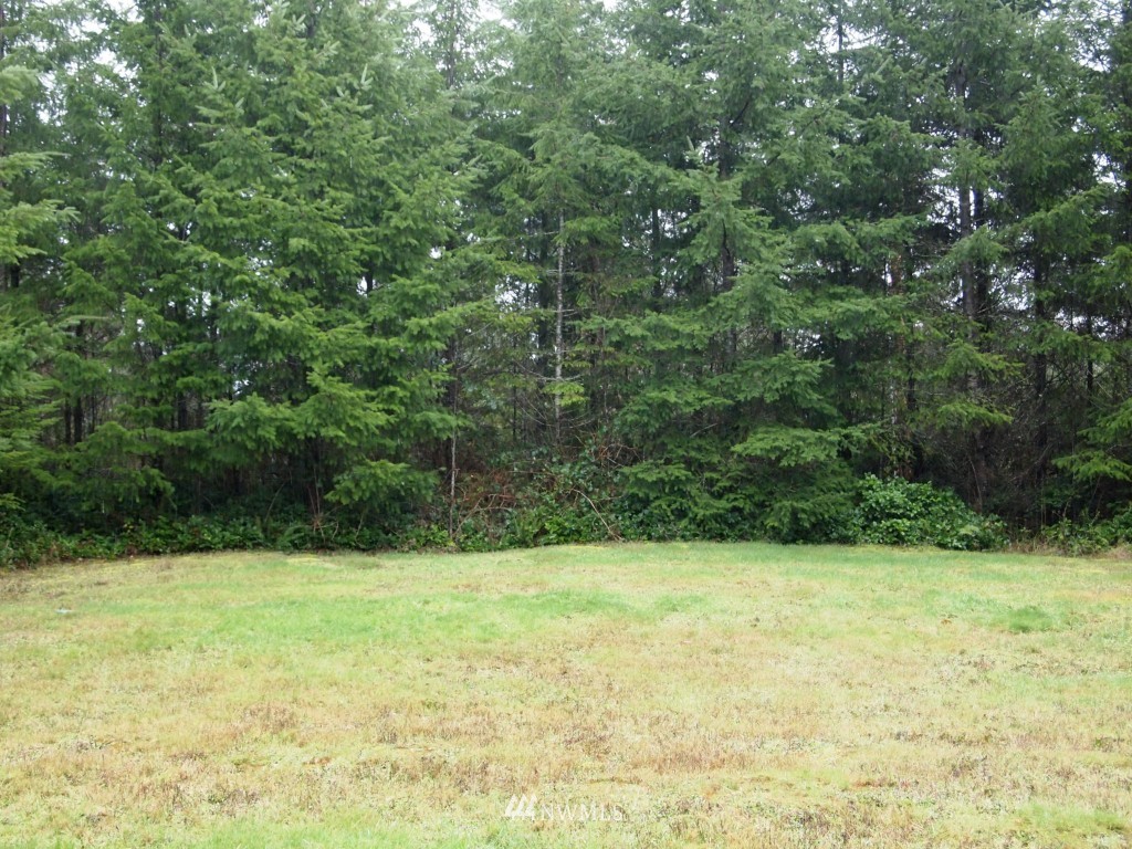 8375 Southeast Lynch Road Shelton, WA 98584 - Photo 13 of 13 Gallery Image 13
